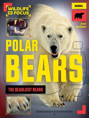 cover image of Polar Bears